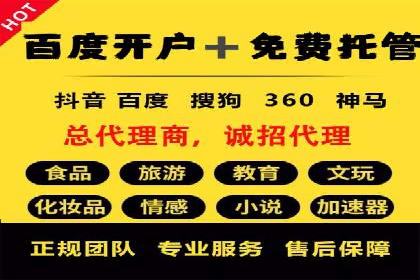 SEM推广优化策略：成功案例解析